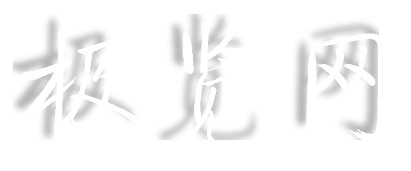 极览网